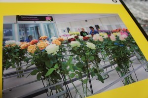 20140309_FloraHolland_15