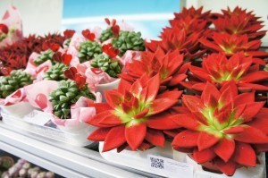 20140309_FloraHolland_16