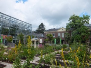20150630_Leiden_university_studyabroad05