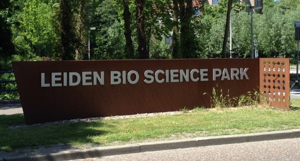 20150630_Leiden_university_studyabroad08
