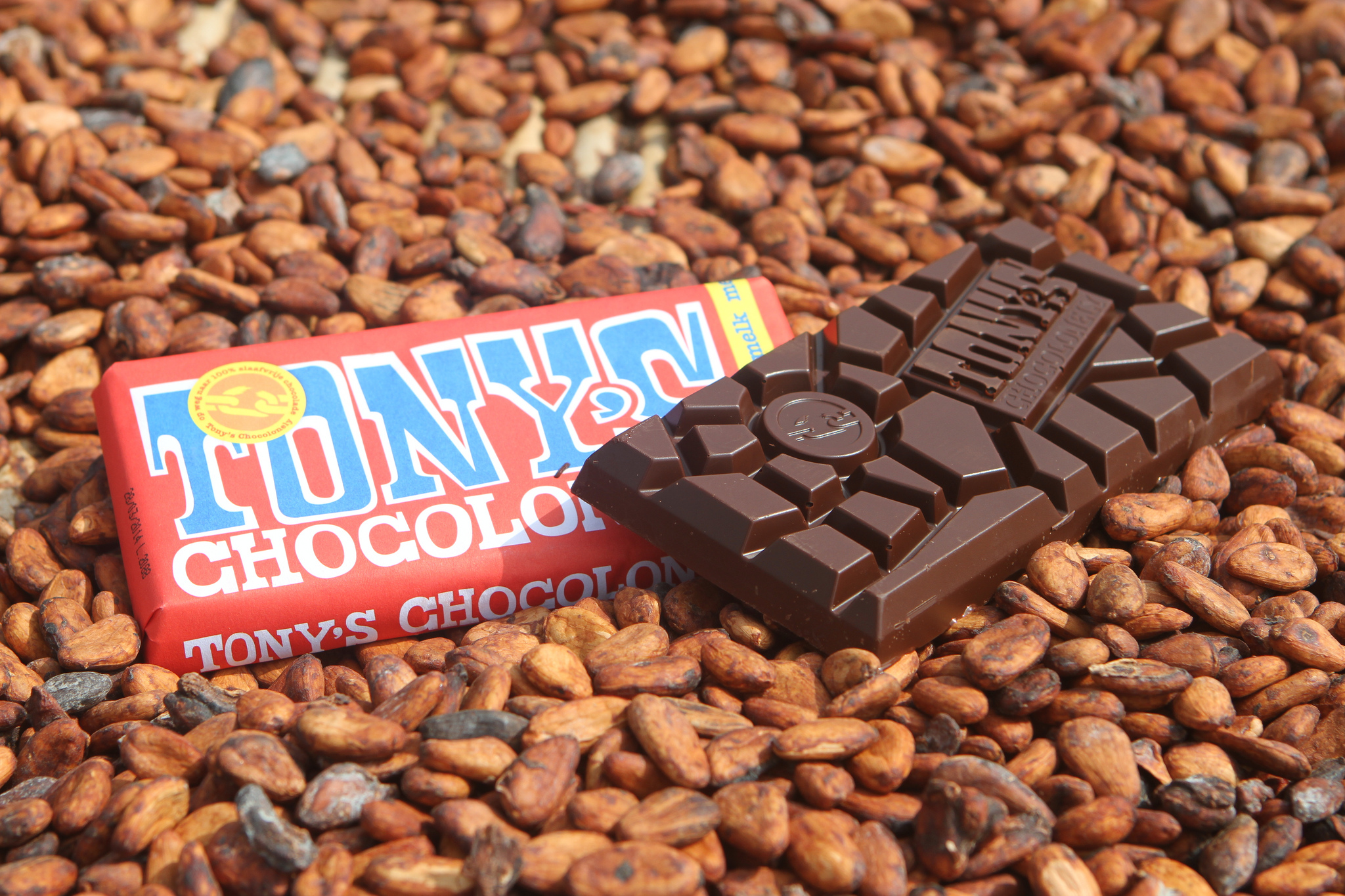 Шоколад купить барнаул. Tonys Chocolonely. Шоколад Tony s Chocolonely. Голландский шоколад. Шоколад Голландия.